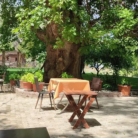 Проживание в семье Garden Cirali *