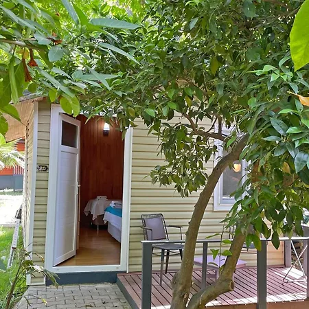 Проживание в семье Garden Cirali